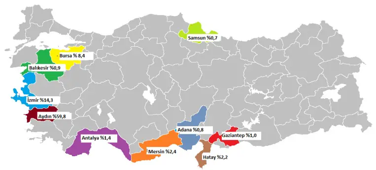 ლეღვის წარმოების ადგილები თურქეთში რუქაზე