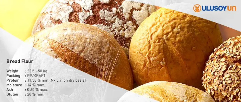 exportation de farine de pain par ulusoy en Turquie
