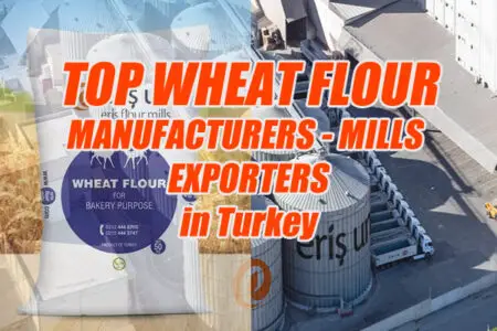 Top hvedemelsproducenter i Tyrkiet